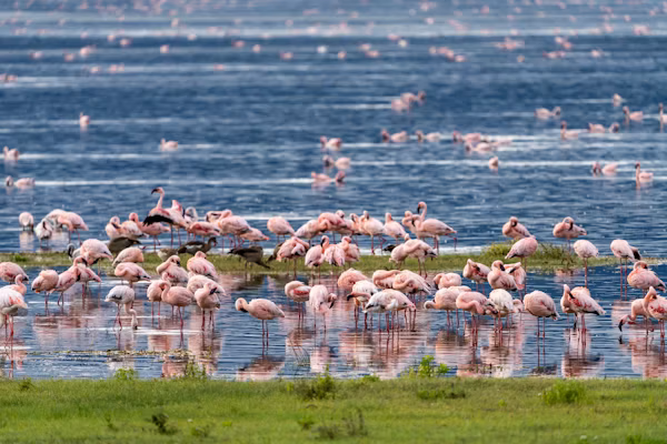 Ngorongoro Crater Gallery Image 1