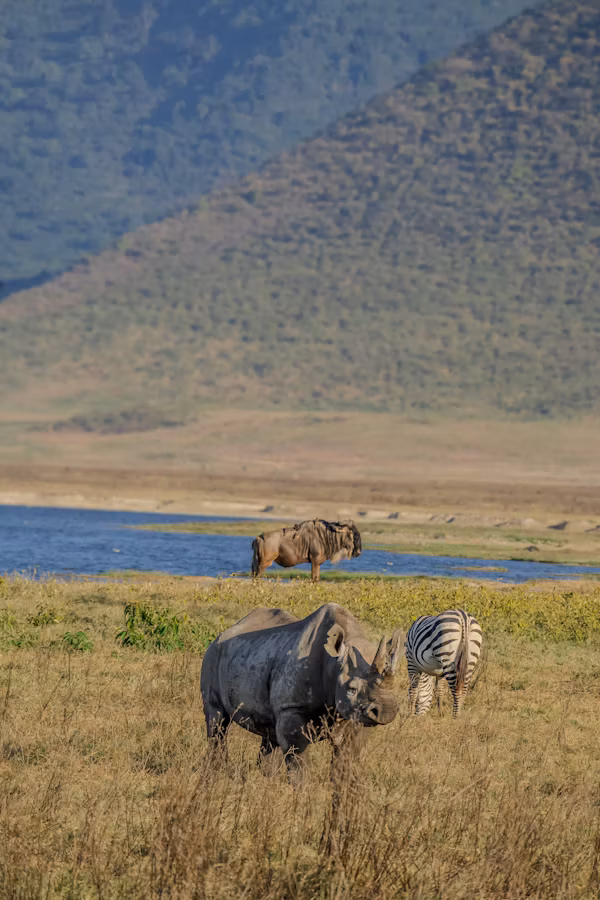 Ngorongoro Crater Gallery Image 3