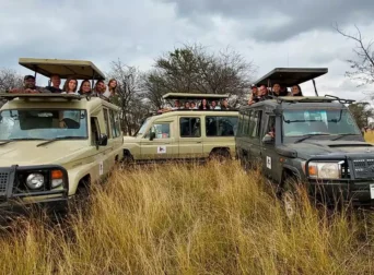 Masai Mara vs. Serengeti: Choosing the Perfect Safari Adventure for You